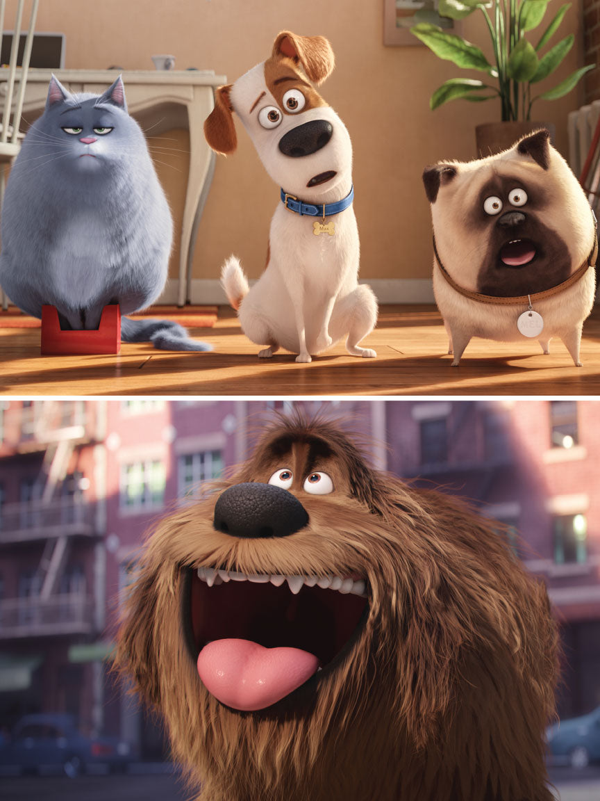 Secret Life of Pets: Music from the Motion Picture Soundtrack