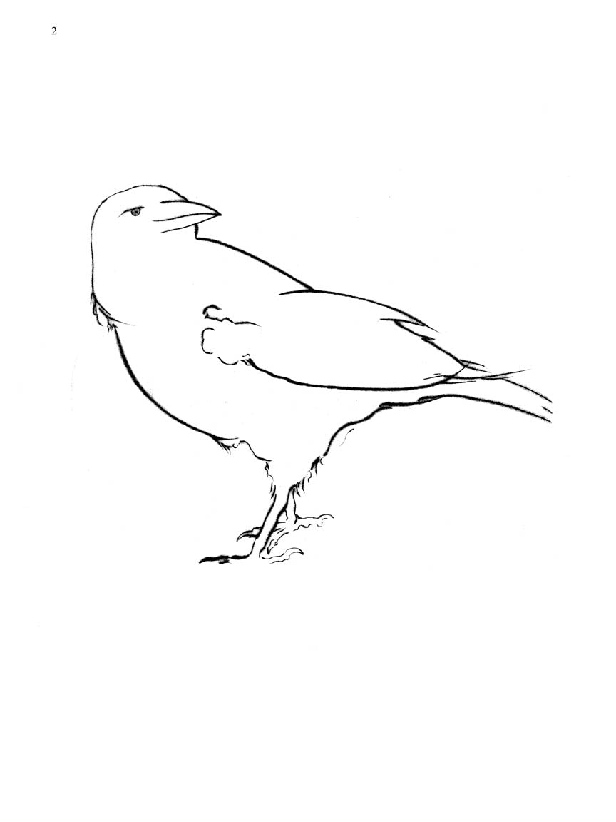 Bolcom Bird Spirits