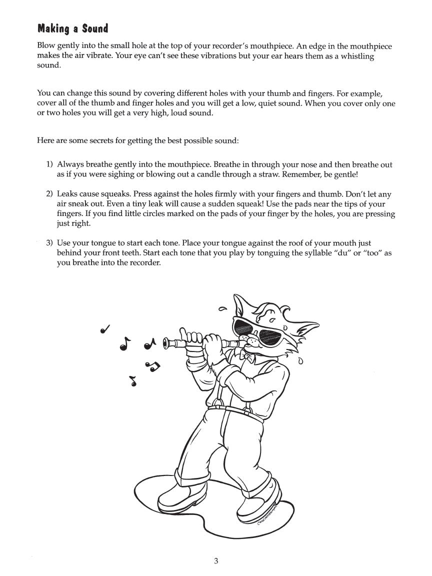 Recorder Fun! - Teach Yourself the Easy Way
