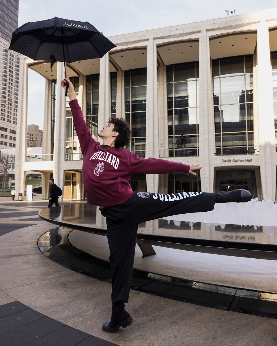 Umbrella: Printed with Juilliard logo (compact with case)