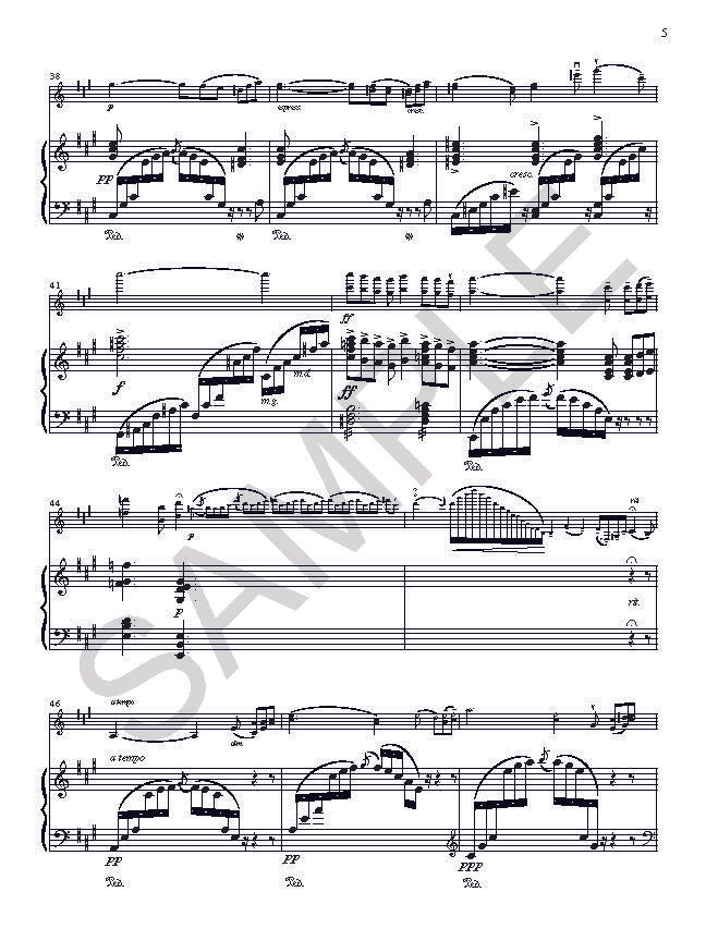 Hubay/Sarasate Dueling Carmens