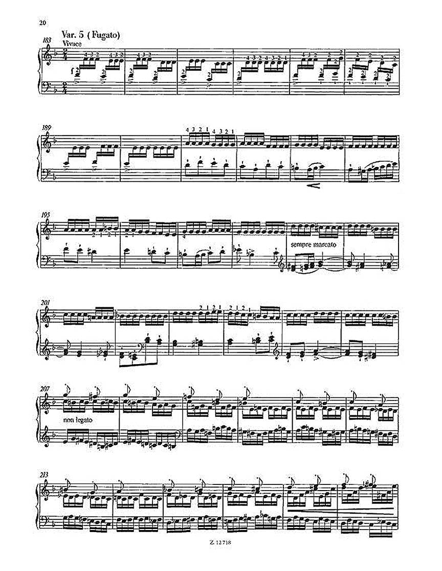 Liszt Totentanz– Danse Macabre Piano Solo