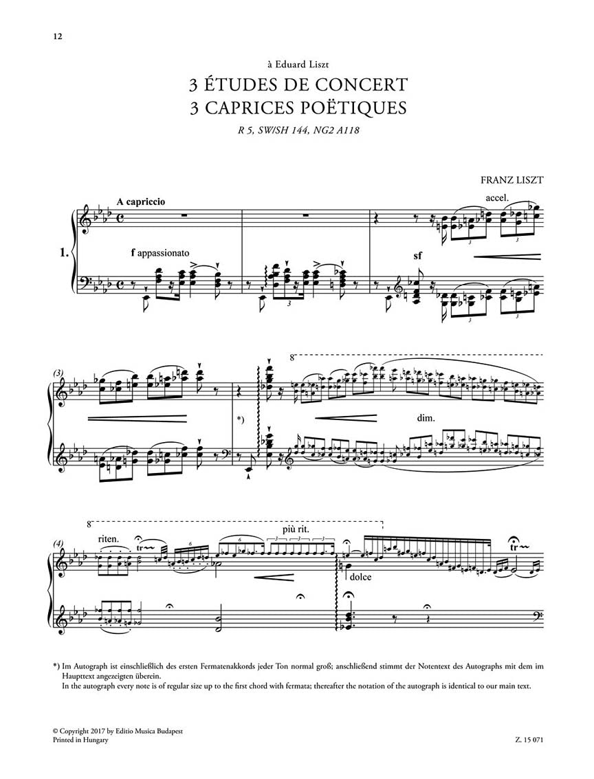 Liszt 3 Etudes de Concert or Piano Solo