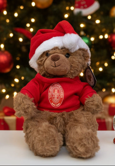 Teddy Bear: Brown Holiday Bear with T-shirt and Hat