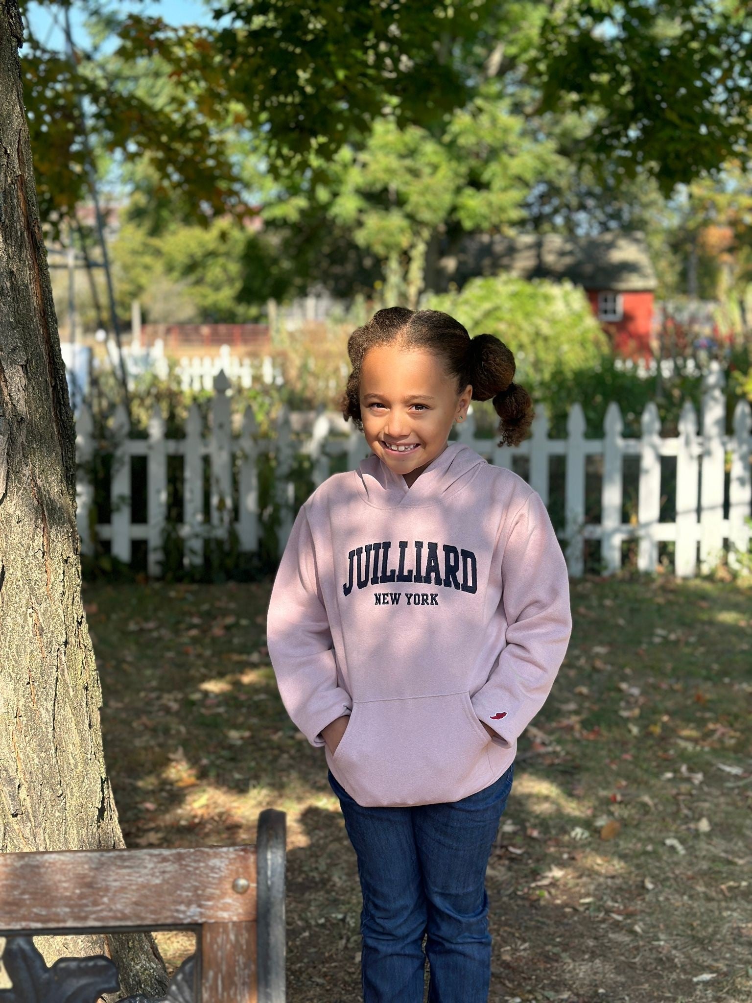 Sweatshirt: Juilliard New York Classic Hood YOUTH
