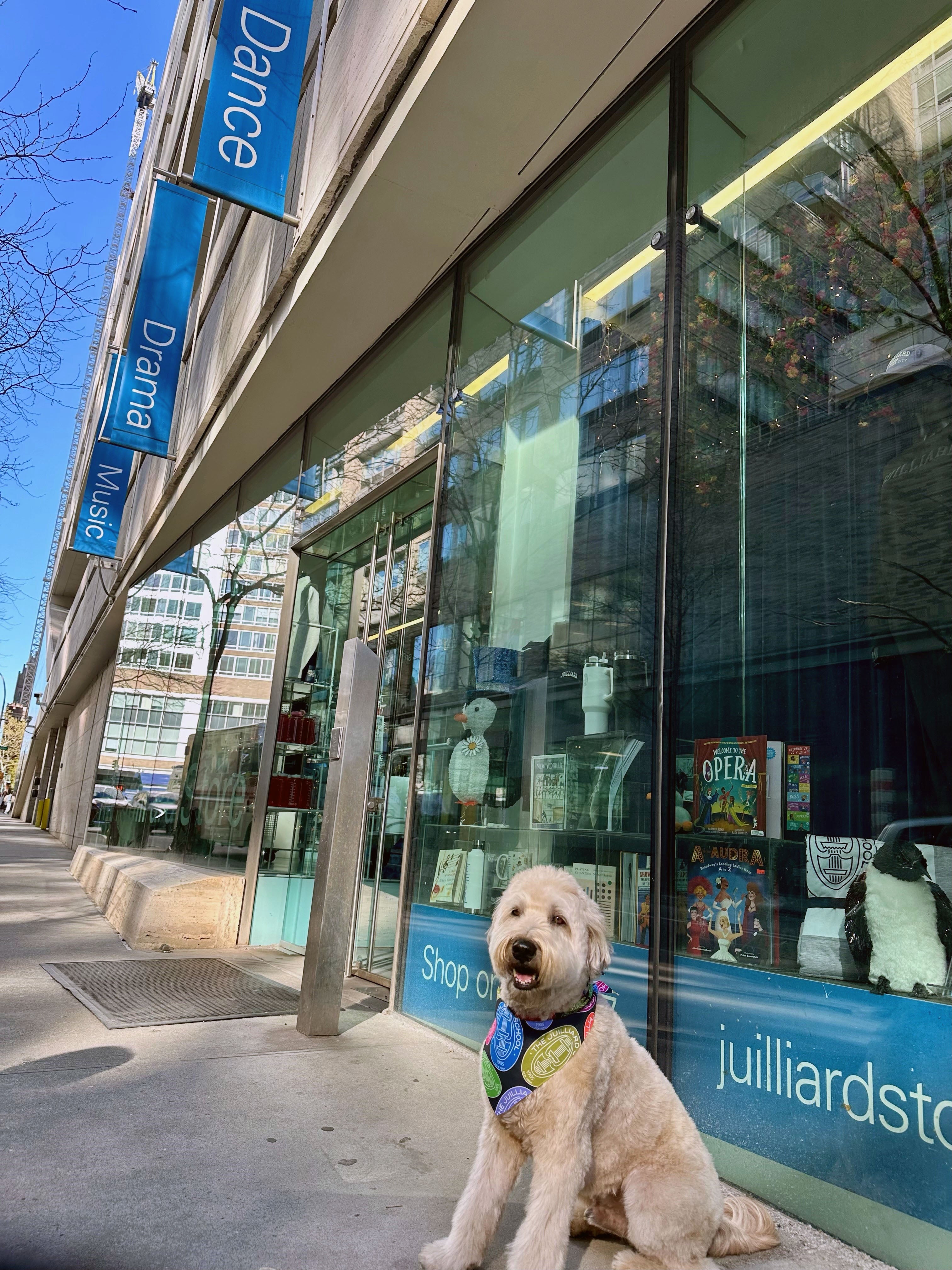 Pet Accessory: Juilliard Bandana with seal pattern