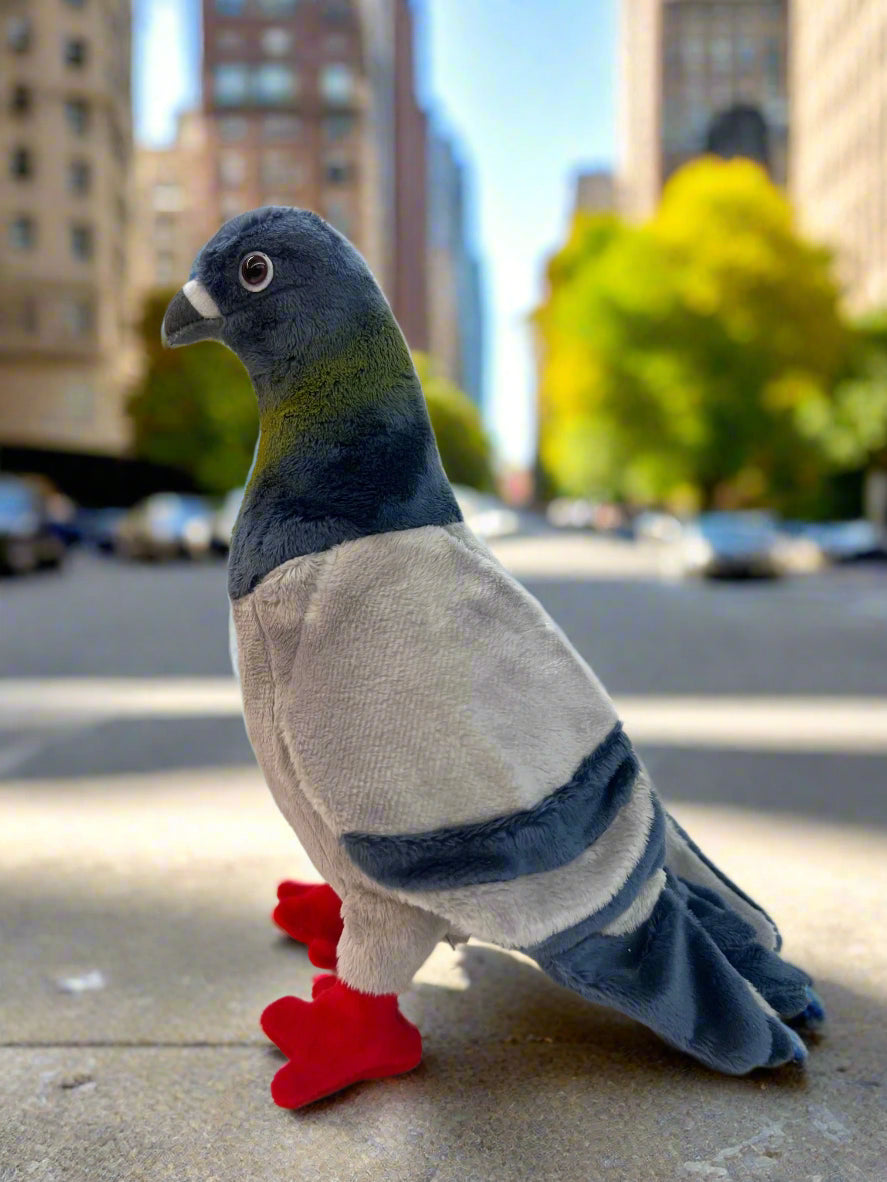 Pigeon: Rocky the Pigeon Plush - 10"