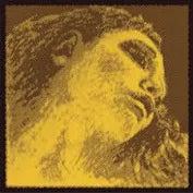Violin String D (Silver) Evah Pirazzi Gold
