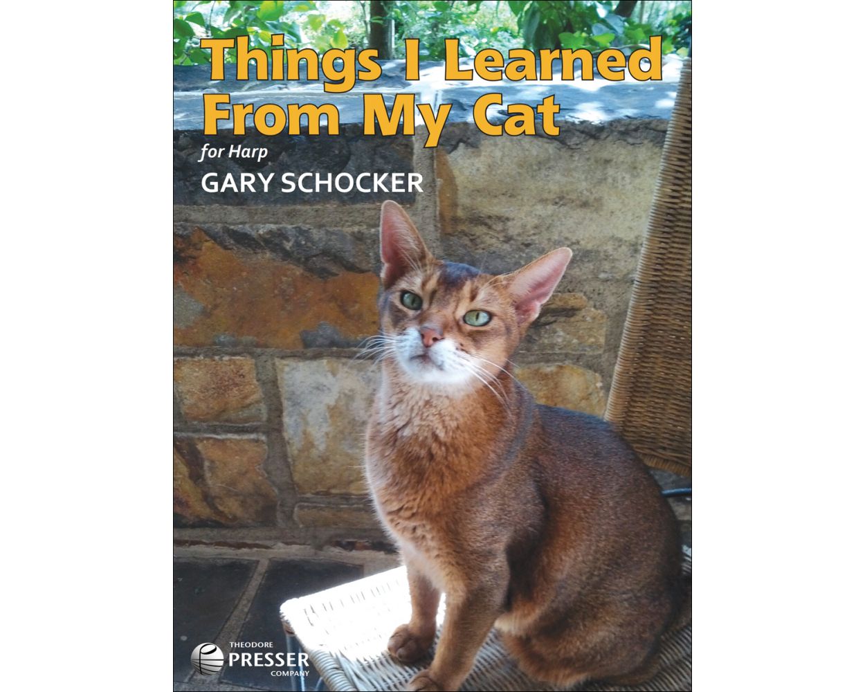 Schocker Things I Learned From My Cat For Harp