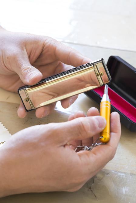 Make Your Own Harmonica Kit