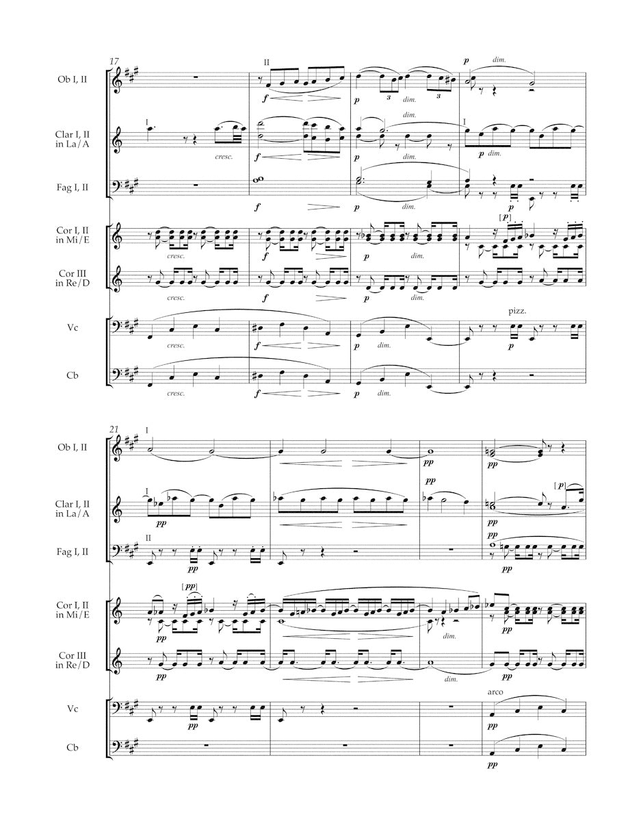 Dvorak Serenade for Wind Instruments, Violoncello and Double Bass op. 44