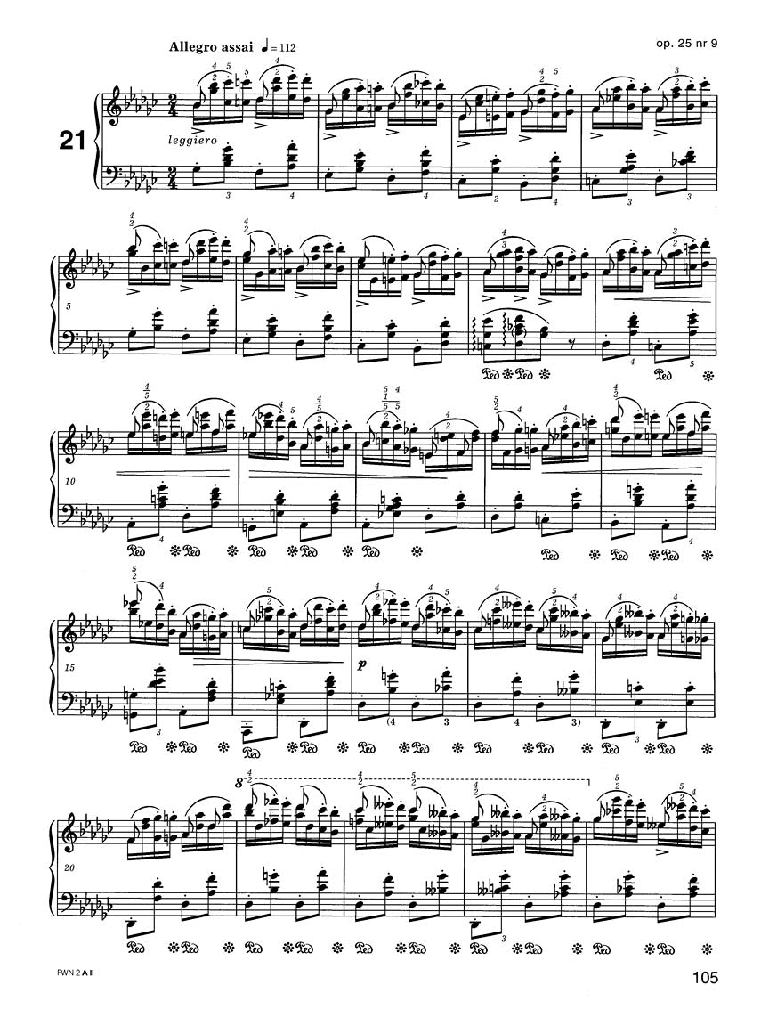 Chopin Etudes - Chopin National Edition