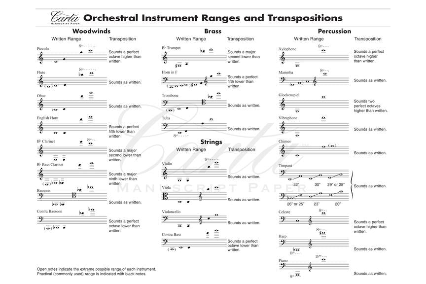 Carta No 27 Professional Manuscript Paper