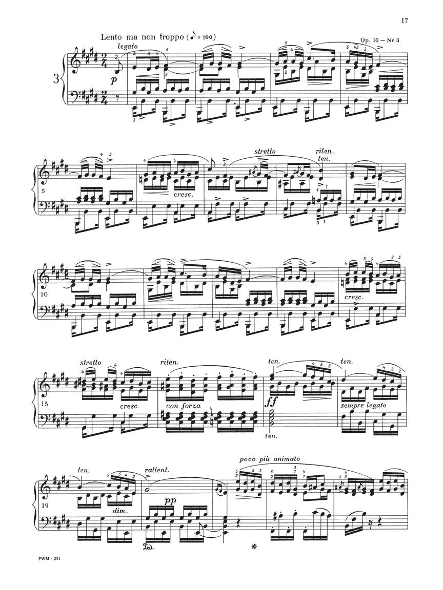 Chopin Studies Paderewski