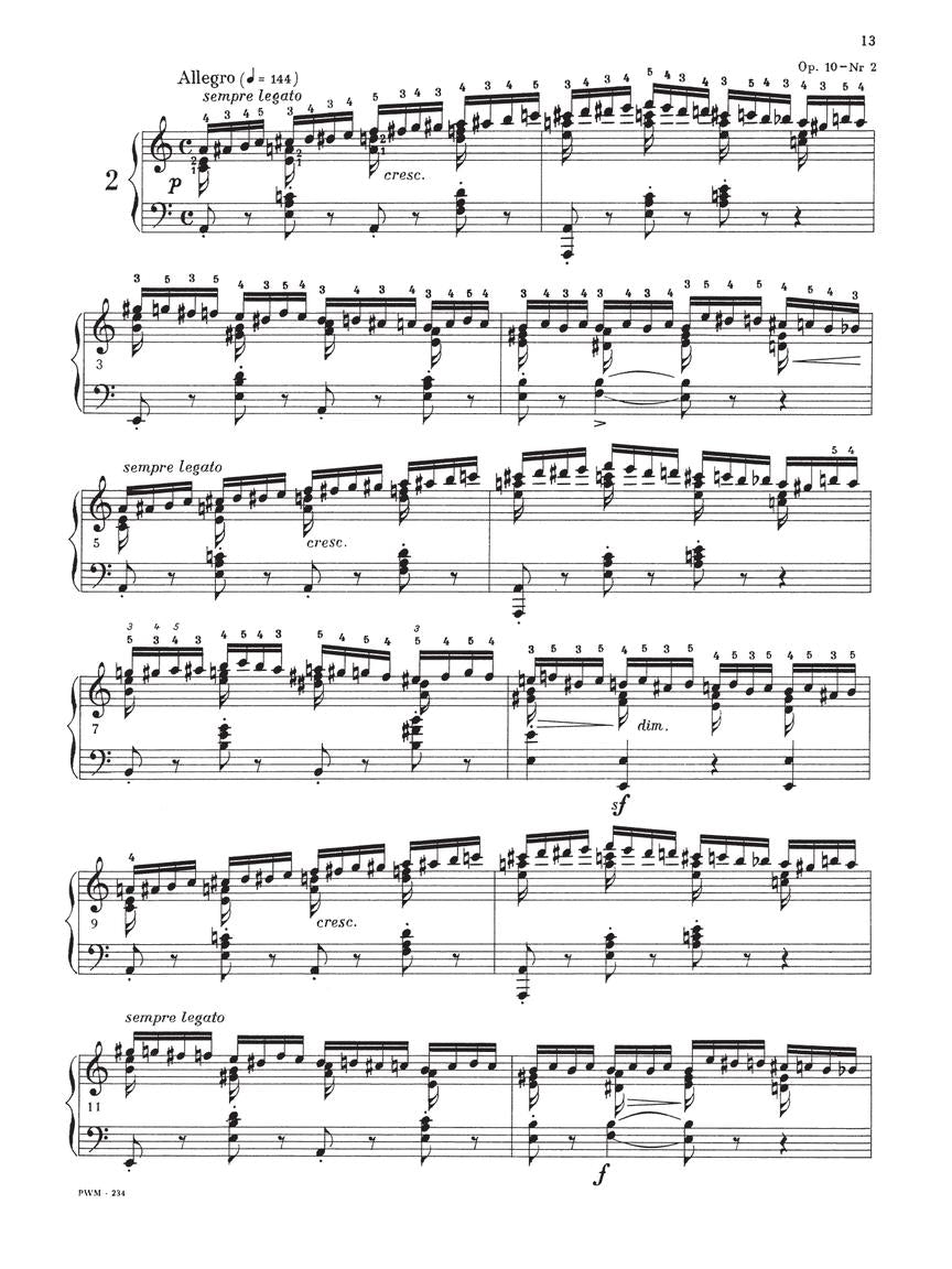 Chopin Studies Paderewski