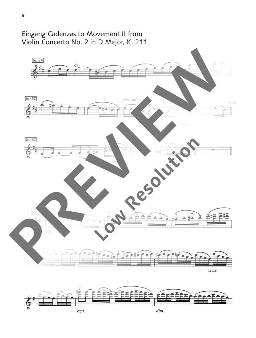 Mozart Violin Cadenzas by Raymond Leppard