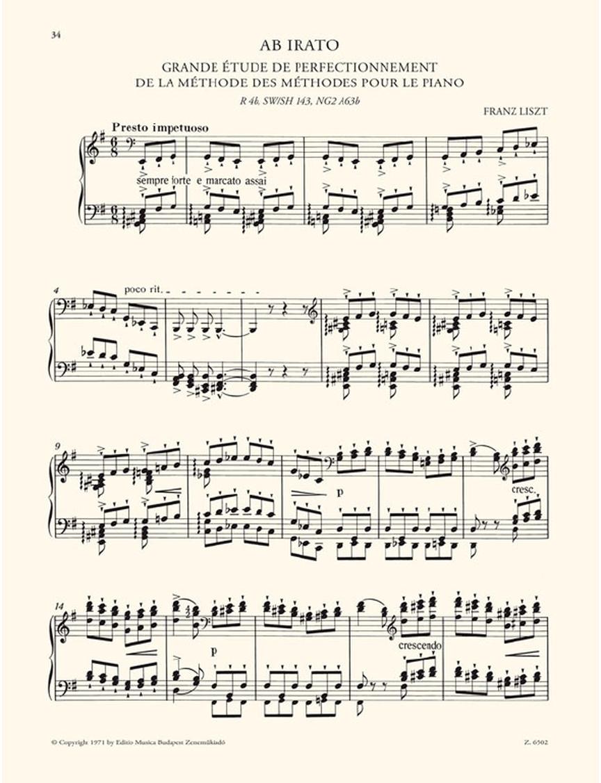 Liszt 2 Concert Etudes: Ab irato & Morceau de salon for Piano Solo