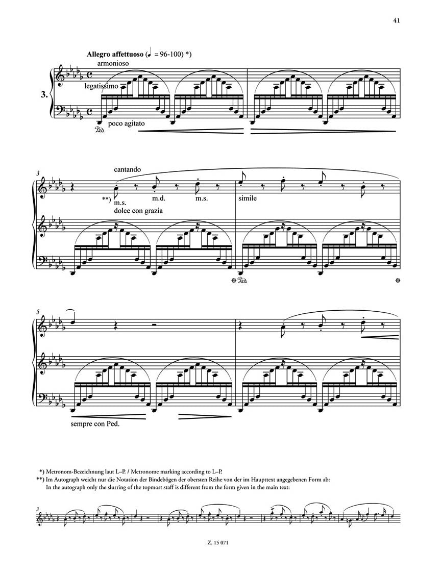 Liszt 3 Etudes de Concert or Piano Solo