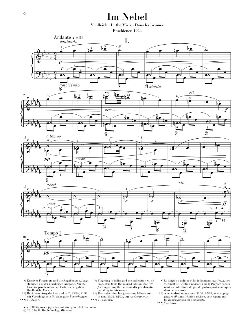 Janacek In the Mists (Im Nebel)