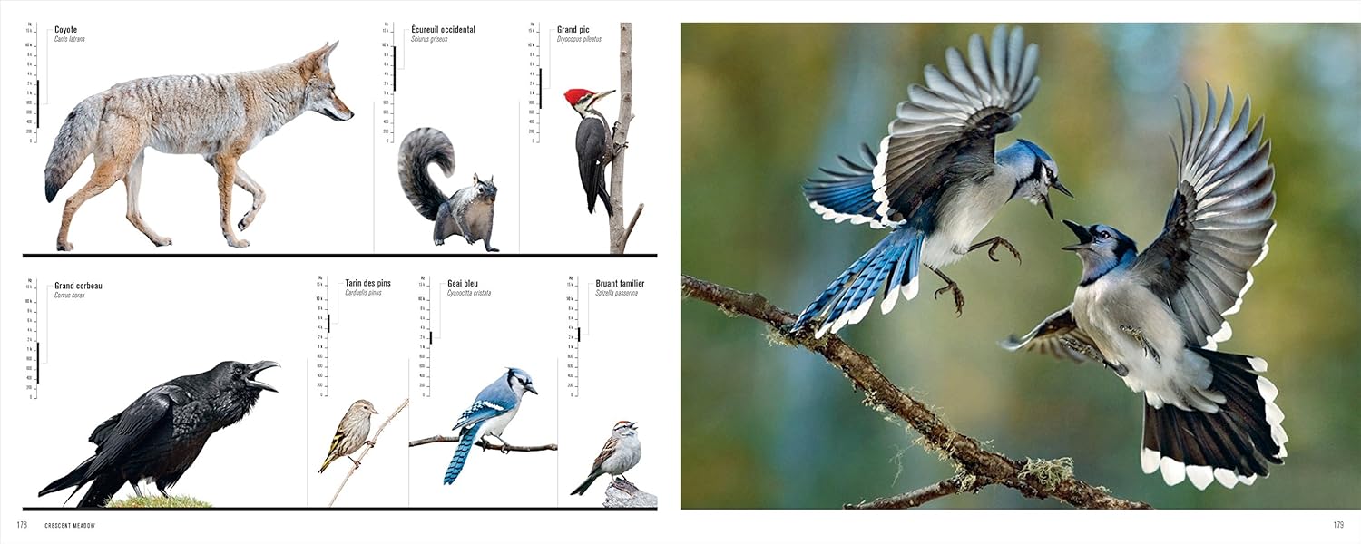 Clearance: Le Grand Orchestre des Animaux (The Great Animal Orchestra- in French) (shelf-worn)