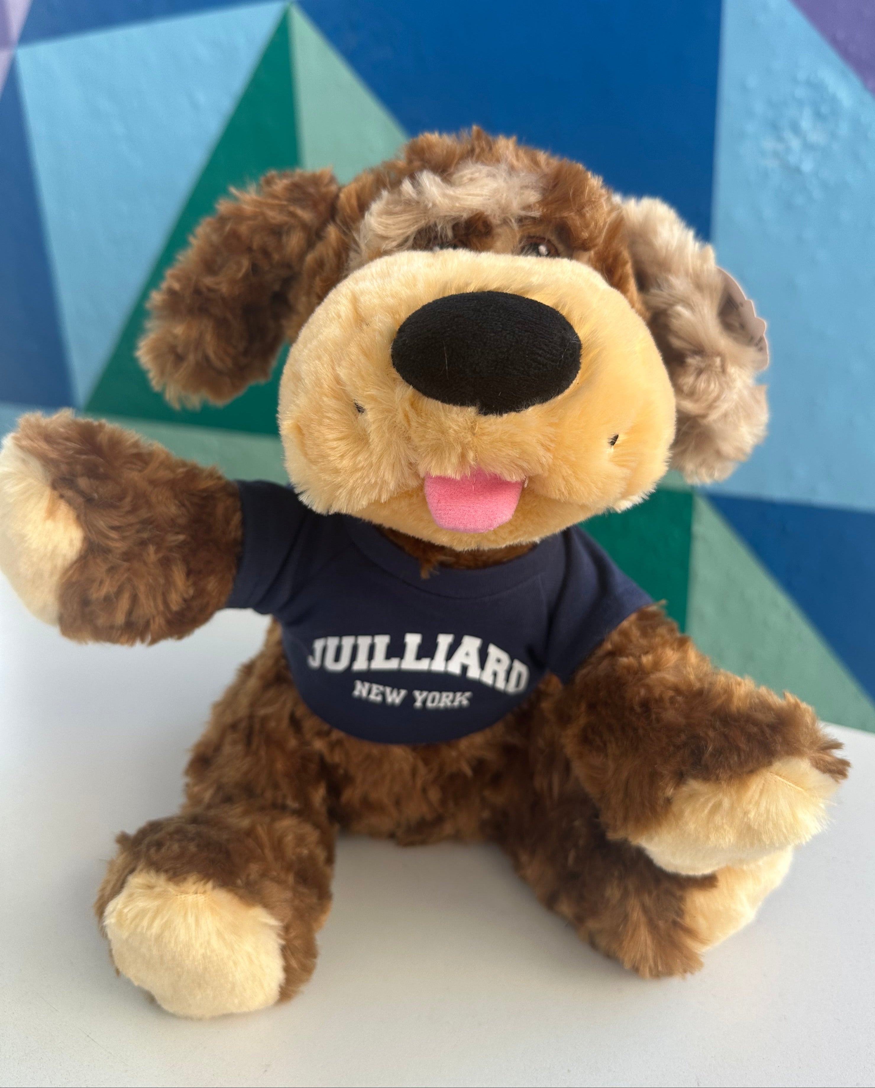 Dog: Plush Puppy Luke with Navy Juilliard T-Shirt