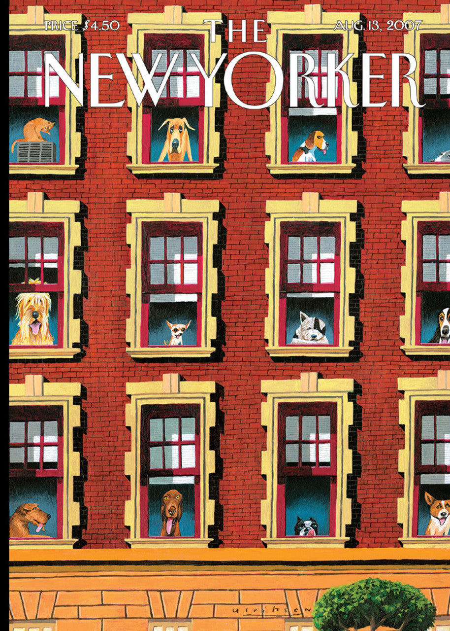 Card: Doggies in the Windows - New Yorker Card (Blank inside)