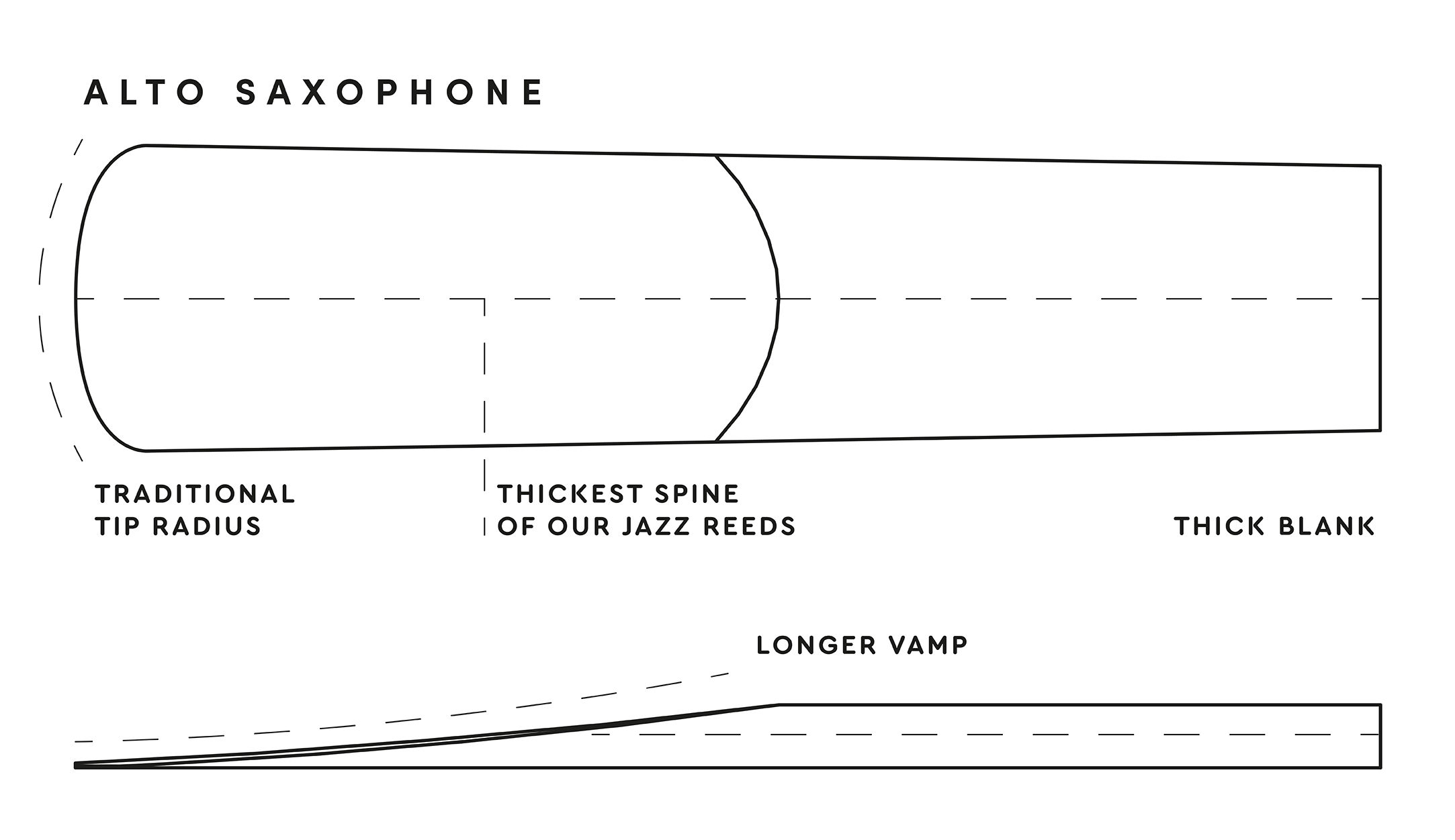 Reed: D'Addario Organic Select Jazz Alto Saxophone, Unfiled (10 pk)