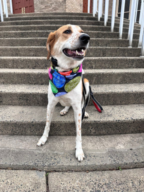 Pet Accessory: Juilliard Bandana with seal pattern