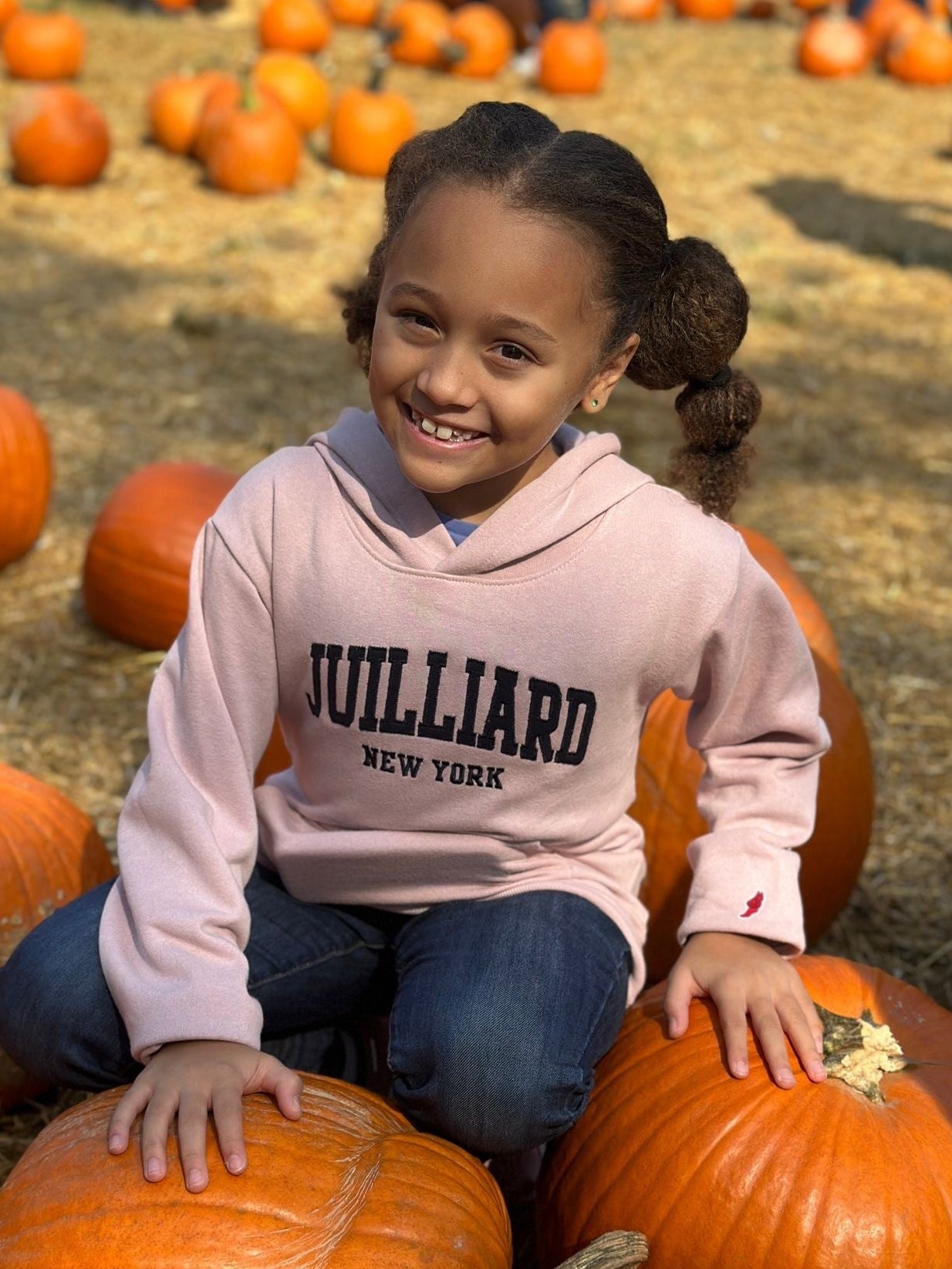 Sweatshirt: Juilliard New York Classic Hood YOUTH