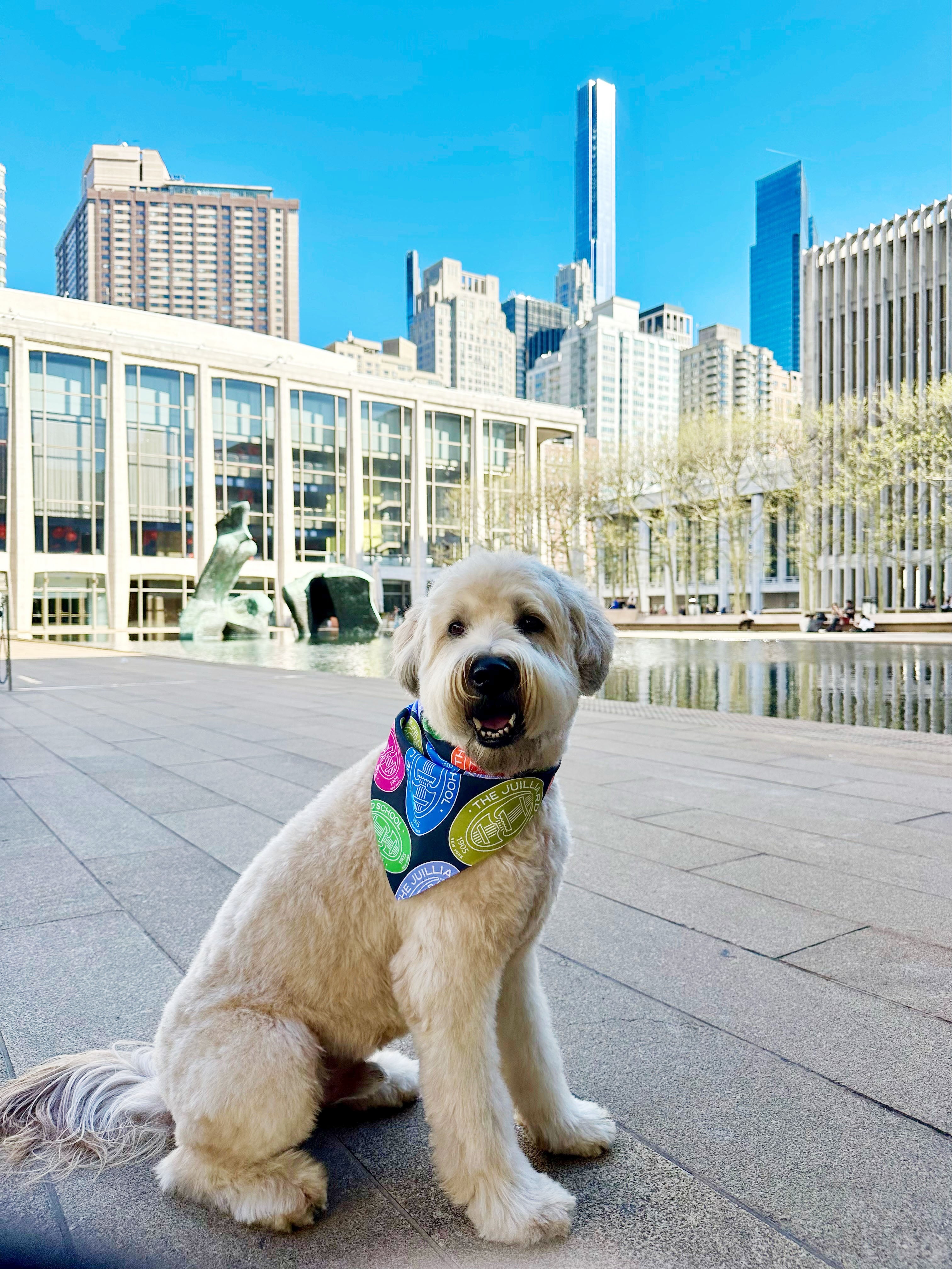 Pet Accessory: Juilliard Bandana with seal pattern