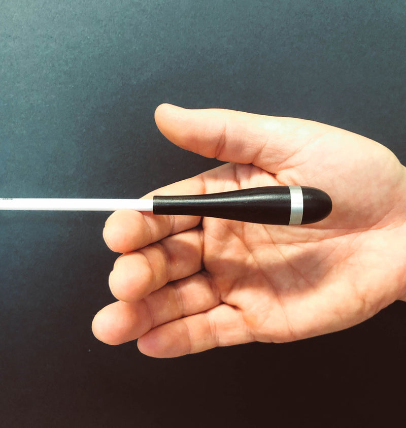 A balanced Rohema baton resting on an open hand