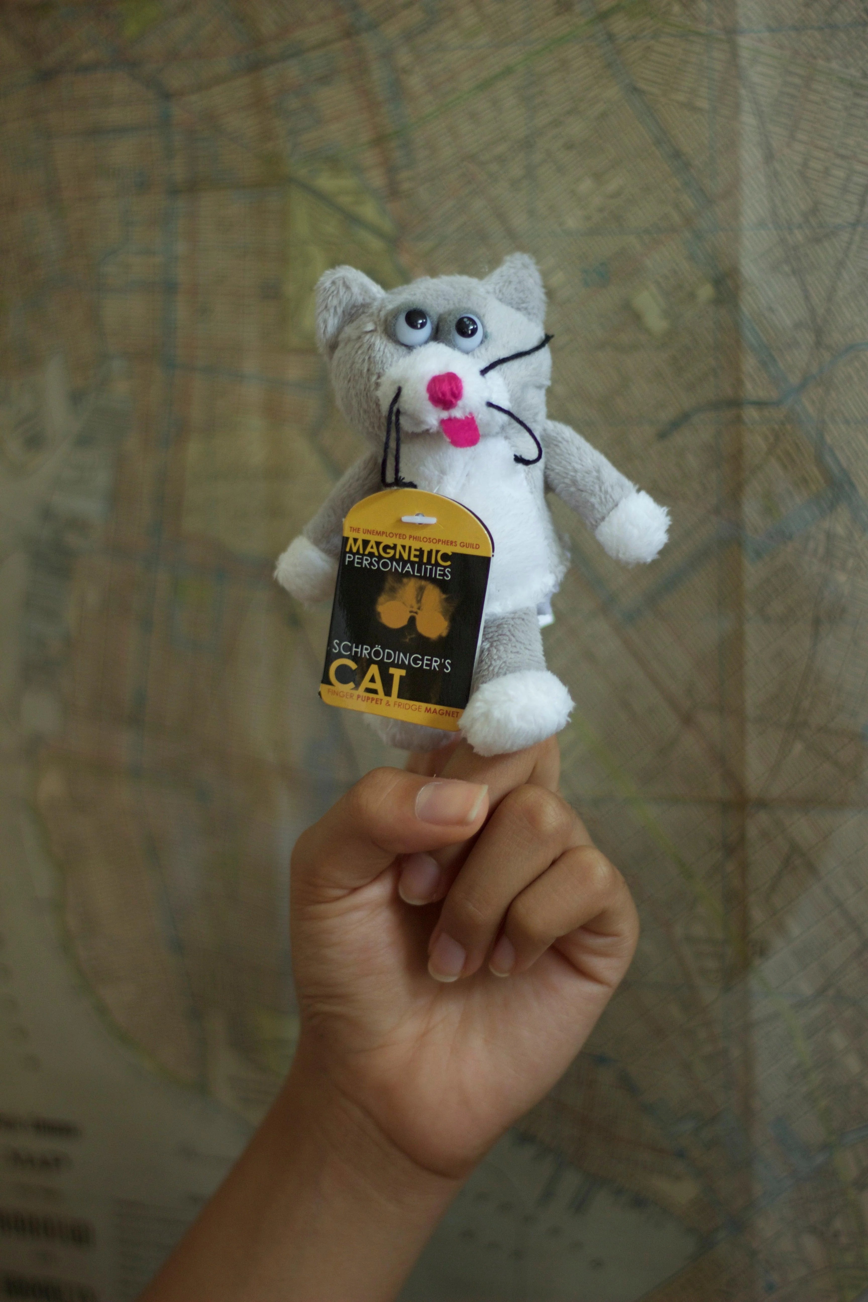 Magnetic Finger Puppet: Schrodinger's Cat