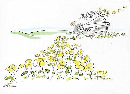 Card: Piano Player Flowers Box Set