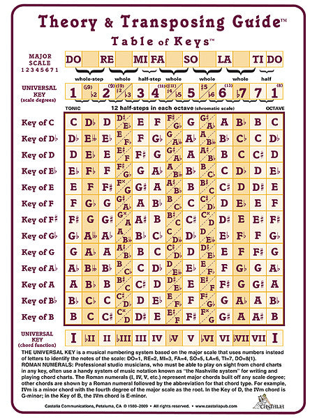 Theory and Transposing Guide