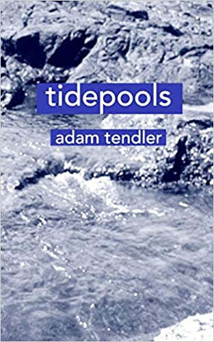 Clearance: Tidepools