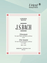 Bach Trio Sonata in G major BWV 1039 for 2 Flutes & Basso Continuo