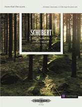 Schubert Impromptu in G flat Op. 90 (D899) No. 3 (more than the score…)