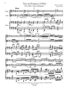 Anzoletti Trio in B minor