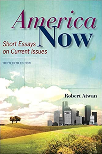 America Now: Short Essays on Current Issues / Edition 13