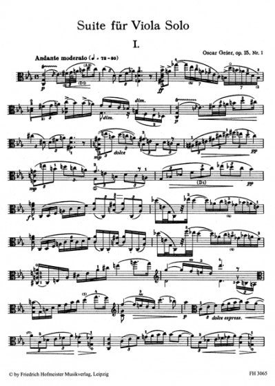 Geier Suite for Viola Solo