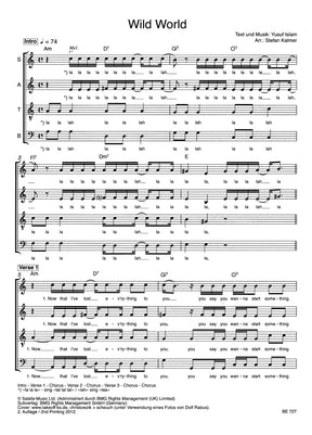 CAT STEVENS WILD WORLD SATB