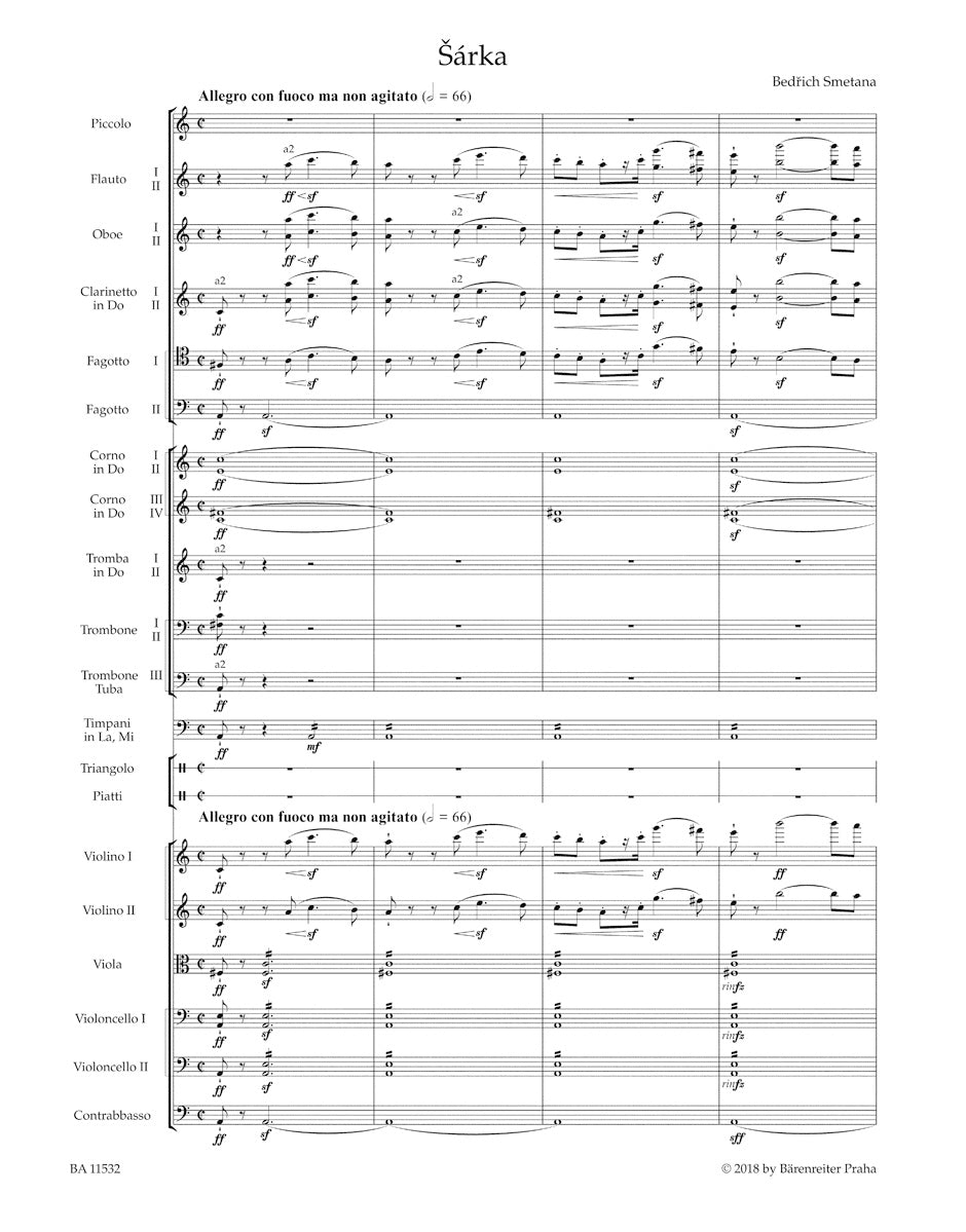 Smetana Sarka (from: Ma Vlast (My Fatherland))