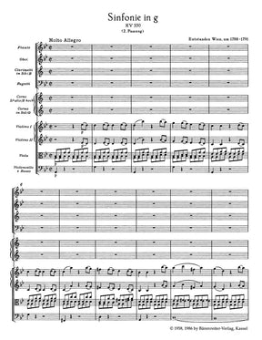 Mozart Symphony No. 40 G minor K. 550 (Second version with clarinets)