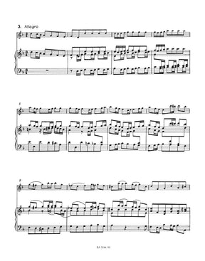 Bach Concerto for Violin, Strings and Basso Continuo D minor -Reconstructed from BWV 1052-