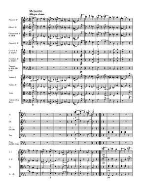 Schubert Symphony No. 4 C minor D 417 "Tragic"