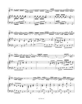 Bach Concerto for Violin, Strings and Basso Continuo E major BWV 1042