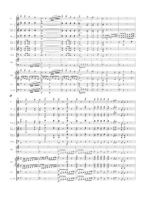 Beethoven Concerto for Pianoforte and Orchestra Nr. 1 C major op. 15 Study Score